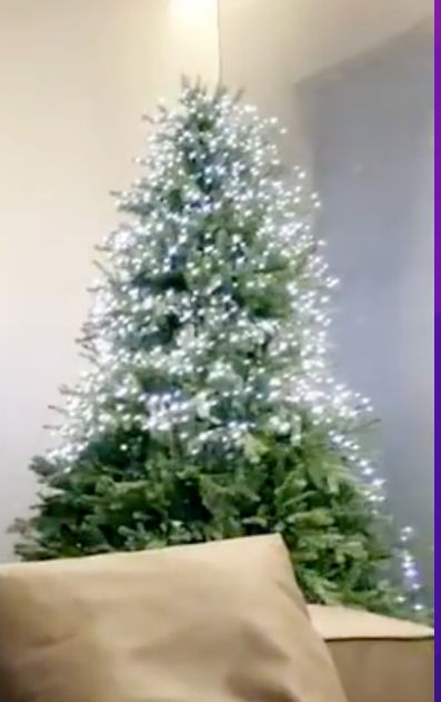 Screenshot 2025-12-28 at 11.57.19 AM.png