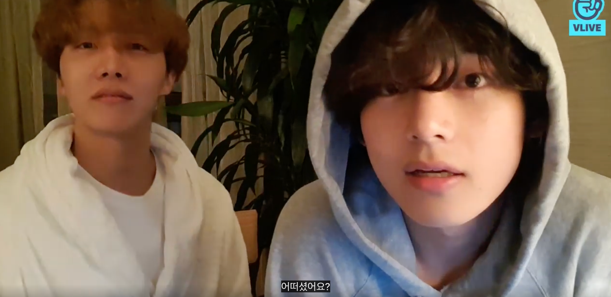 Screenshot 2026-01-29 at 8.21.36 PM.png